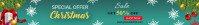 Christmas discount 50% off Esty Banner Баннер Etsy template