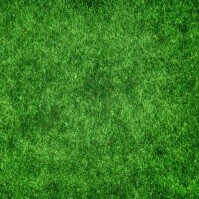 Lawn experts garden maintenance insta video Instagram-opslag template